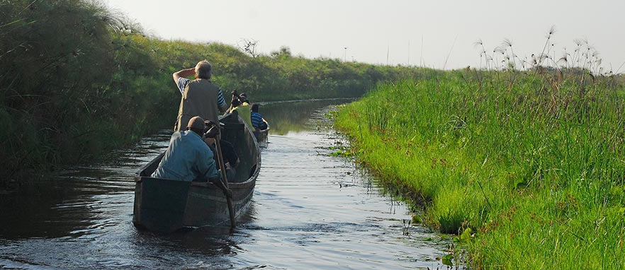 1 Day Mabamba Shoebill Tours