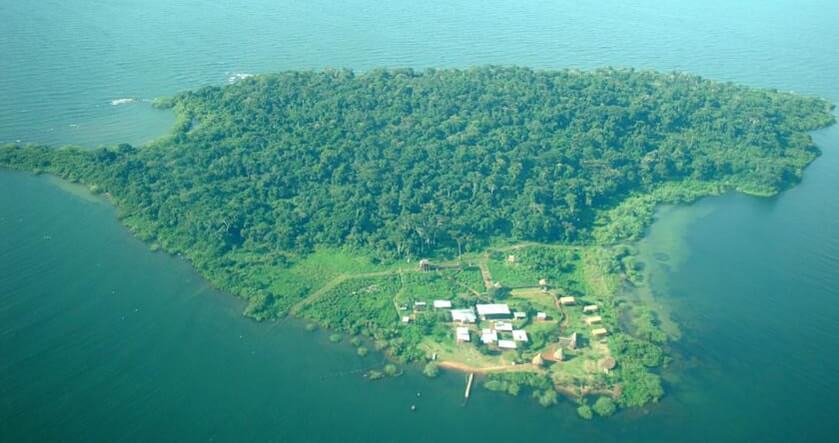 Ngamba Island Chimpanzee Sanctuary