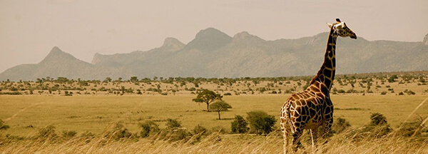 Kidepo Valley National Park Plains 