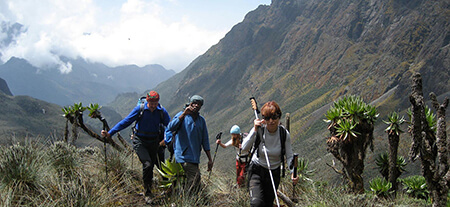 Trekking Rwenzori Mountains National Park