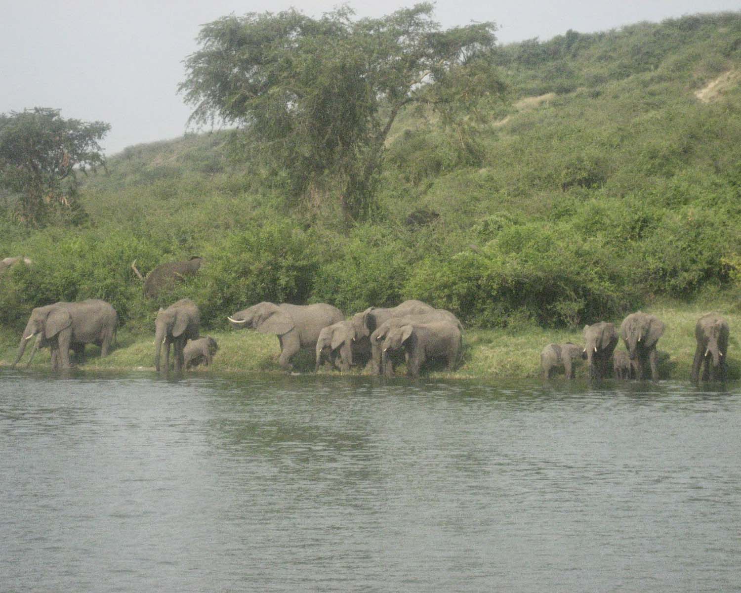 Kazinga Channel