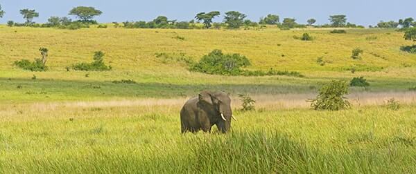 Kasenyi Plains