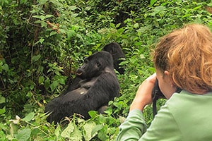 Gorilla Tracking Uganda