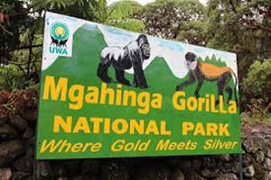 Mgahinga Gorilla National Park