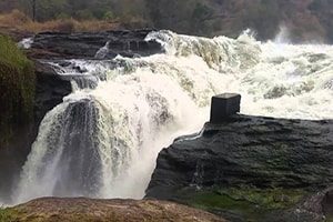 Top of the Falls Murchison 