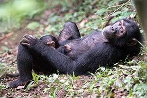 Semuliki National Park