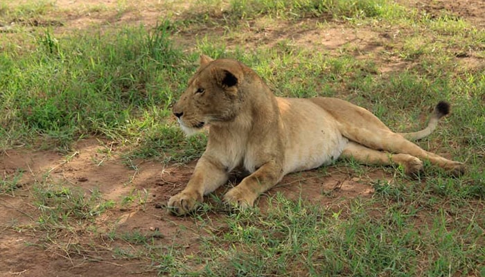 Kidepo Valley tour