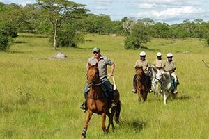 Horseback riding in Jinja