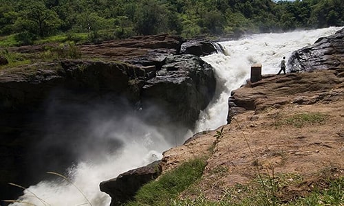 Top of the Falls Murchison