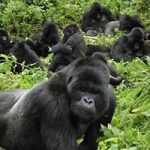 Rwanda Tourist Attractions