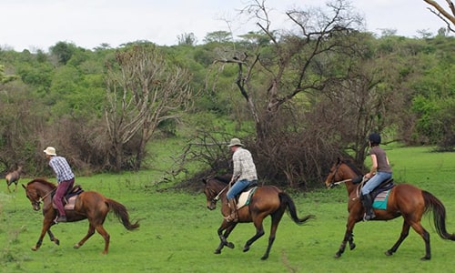 Horseback Safaris in Lake Mburo