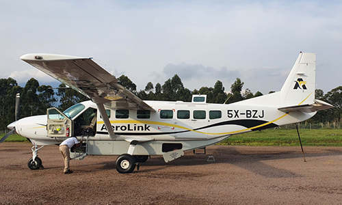 Fly in Safaris to Trek Gorillas in Uganda